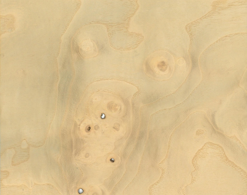Premium Burl Veneer Stocks in Dubai